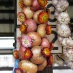 Go South – Private 1 Day Trip to Explore Traditional Culture