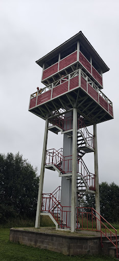 Private Tours In Estonia Homepage 14 Photo from customer review