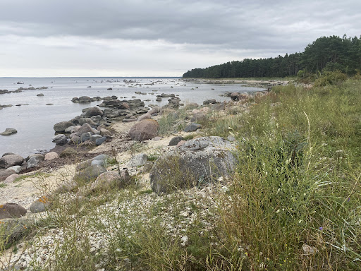 Private Tours In Estonia Homepage 13 Photo from customer review