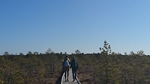 Private Tours in Estonia place picture